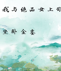 我与绝品女上司