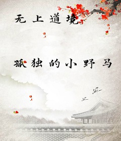 无上道境