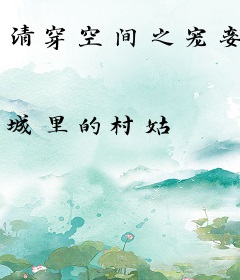 清穿空间之宠妾