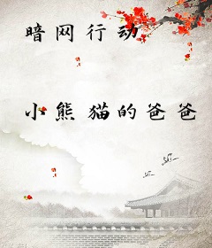 暗网行动