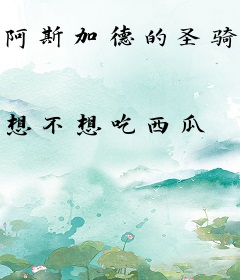 阿斯加德的圣骑士