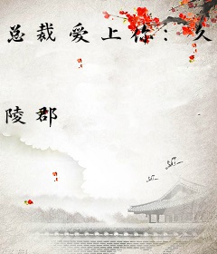 总裁爱上你：久久