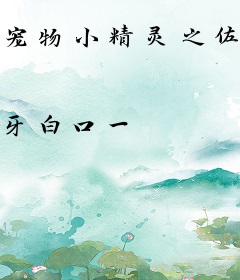 宠物小精灵之佐藤