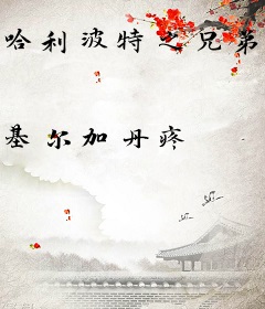 哈利波特之兄弟会