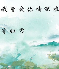 我曾爱你情深难为