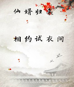 仙婿归来