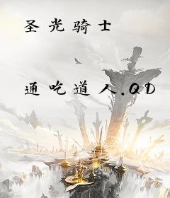 圣光骑士
