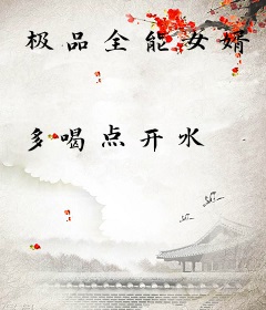 极品全能女婿