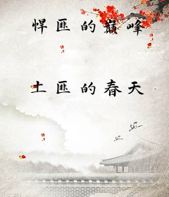 悍匪的巅峰