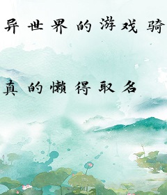 异世界的游戏骑士