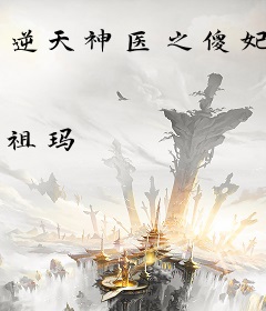 逆天神医之傻妃