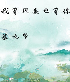 我等风来也等你归