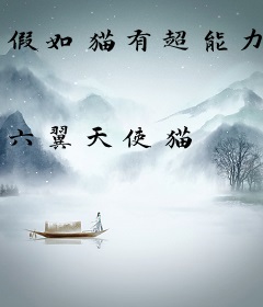 假如猫有超能力