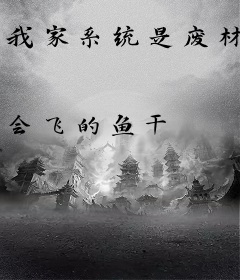 我家系统是废材
