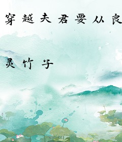 穿越夫君要从良