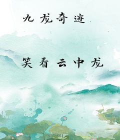 九龙奇迹