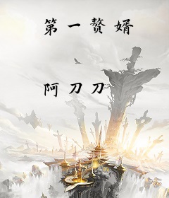 第一赘婿