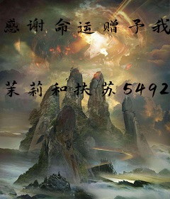 感谢命运赠予我的空欢喜