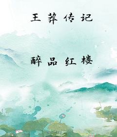 王莽传记