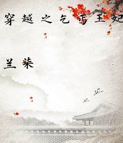 穿越之乞丐王妃