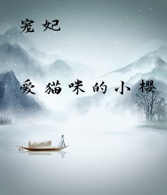 宠妃