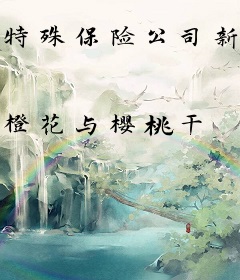 特殊保险公司新人手册