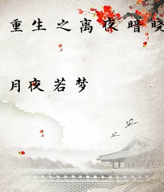 重生之离夜暗晓