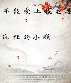 不能爱上我老婆