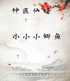 神医仙婿