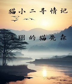 猫小二寻情记