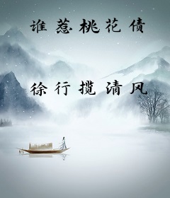 谁惹桃花债