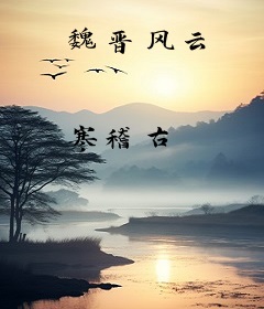 魏晋风云