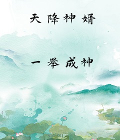 天降神婿