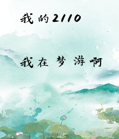 我的2110