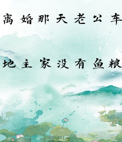 离婚那天老公车祸失忆了