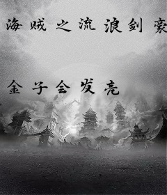 海贼之流浪剑豪