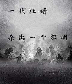 一代狂婿