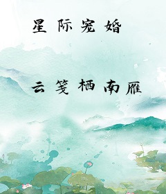 星际宠婚