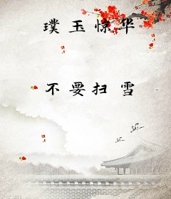 璞玉惊华