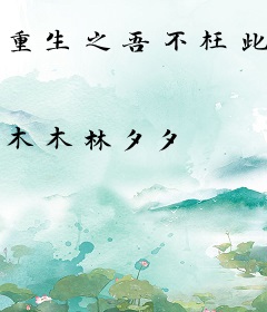重生之吾不枉此生