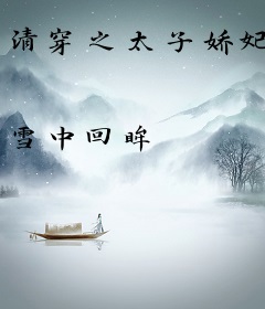 清穿之太子娇妃