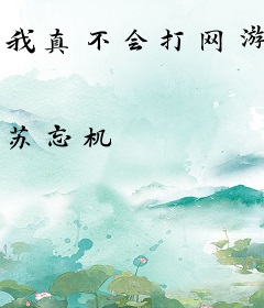 我真不会打网游