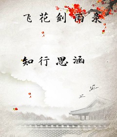 飞花剑雨录