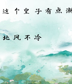 这个皇子有点潮