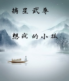 摘星武尊