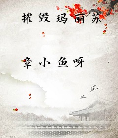 摧毁玛丽苏