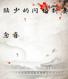 陆少的闪婚新妻