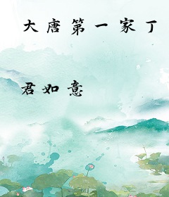 大唐第一家丁