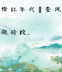 橙红年代·壹风云乍起