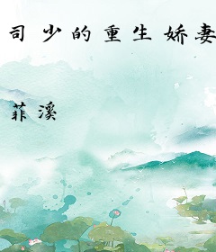 司少的重生娇妻